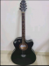 গিটার/Guitar signature 265 Model
